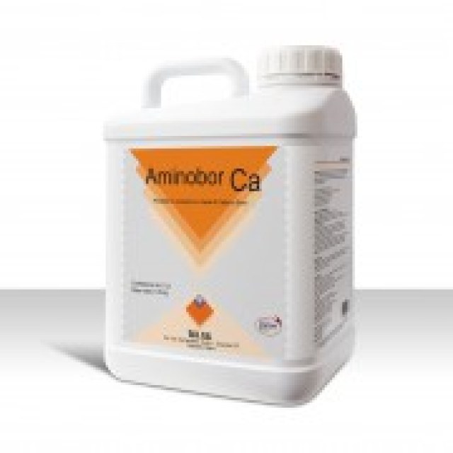 Aminobor Ca