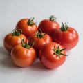 Ντομάτα